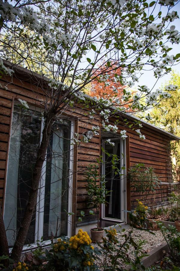 Garden-Loft Nuernberg Apartman Kültér fotó